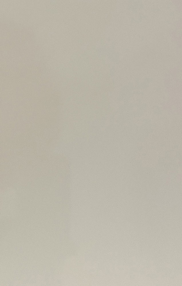 06#